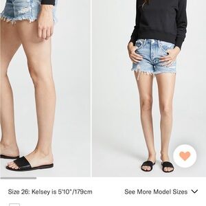 Agolde Parker Shorts in swapmeat